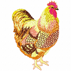 Chickens And Roosters Embroidery Design 12 Chickens And Roosters Embroidery Design 12